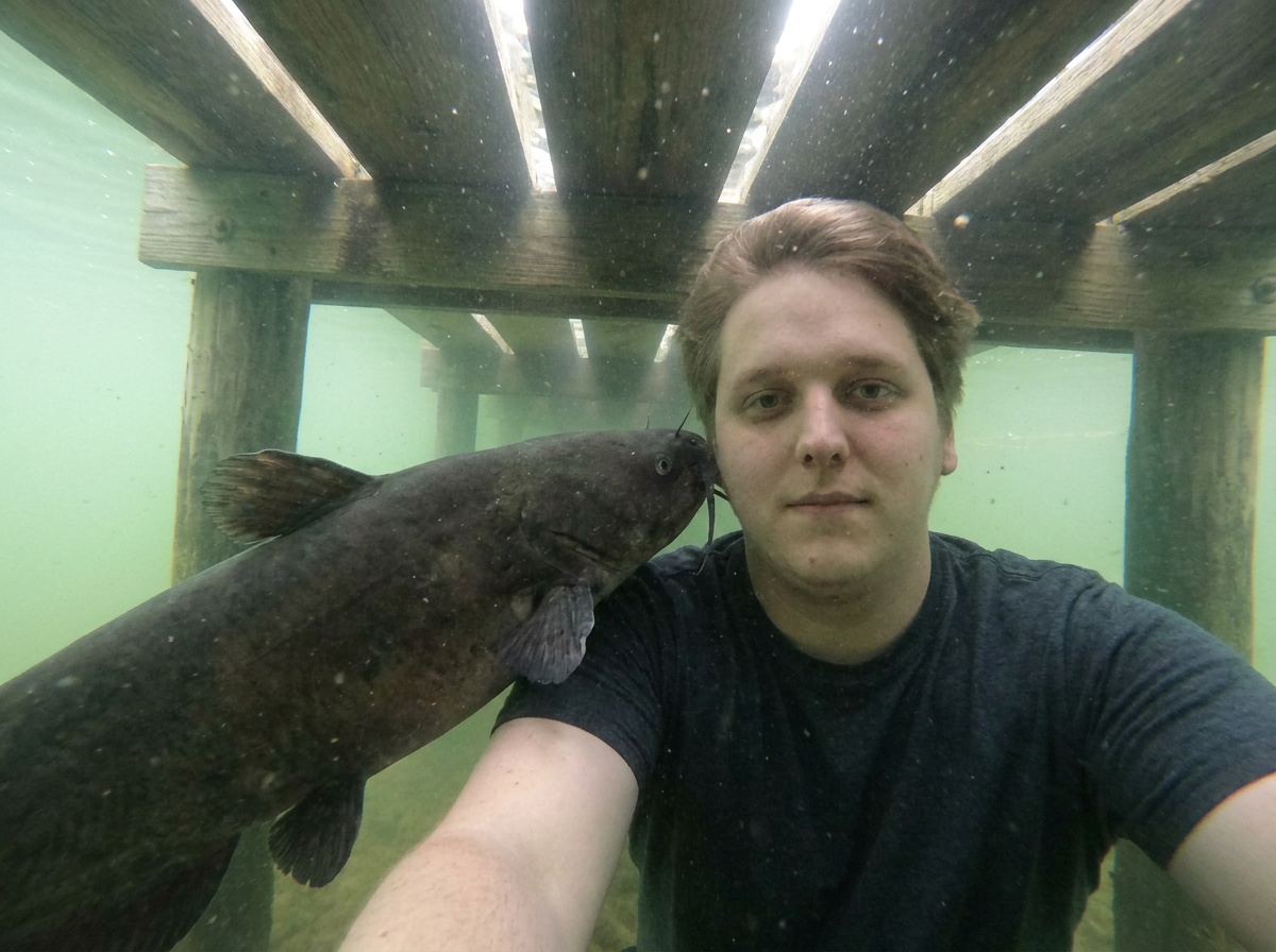 A large catfish relative rests against Craig's arm underwater beneath the dock.